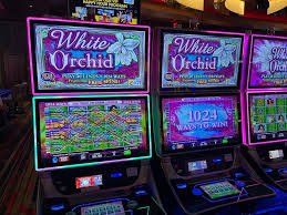 tambola Express Slot Rooms